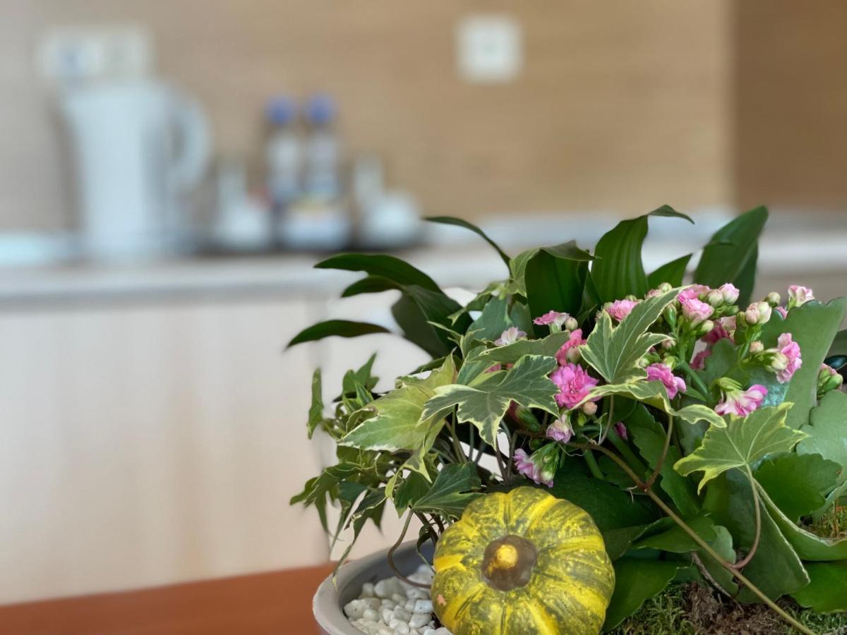 Adeona Wellness Hotel By Asteri Hotels Bansko Extérieur photo
